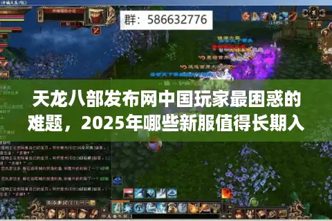 天龙八部发布网中国玩家最困惑的难题，2025年哪些新服值得长期入驻？
