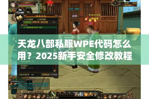 天龙八部私服WPE代码怎么用？2025新手安全修改教程