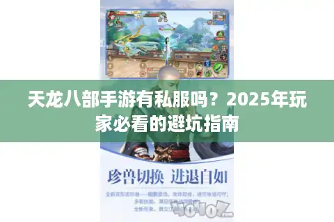 天龙八部手游有私服吗？2025年玩家必看的避坑指南
