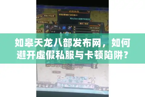 如皋天龙八部发布网，如何避开虚假私服与卡顿陷阱？