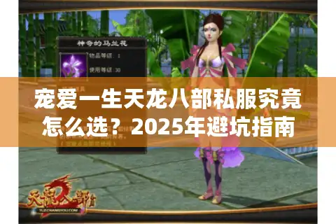 宠爱一生天龙八部私服究竟怎么选？2025年避坑指南与零门槛升级攻略