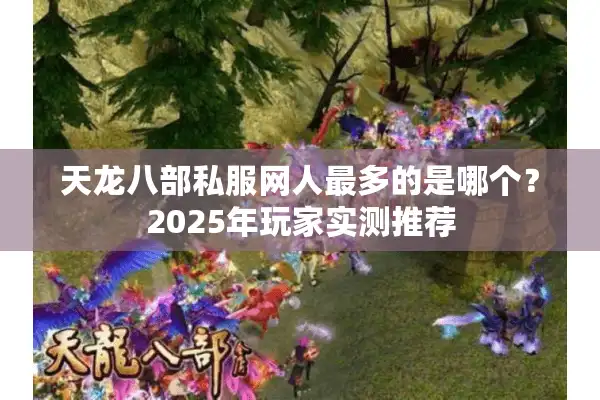 天龙八部私服网人最多的是哪个？2025年玩家实测推荐