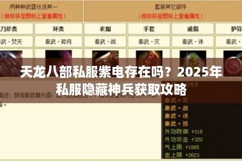 天龙八部私服紫电存在吗？2025年私服隐藏神兵获取攻略