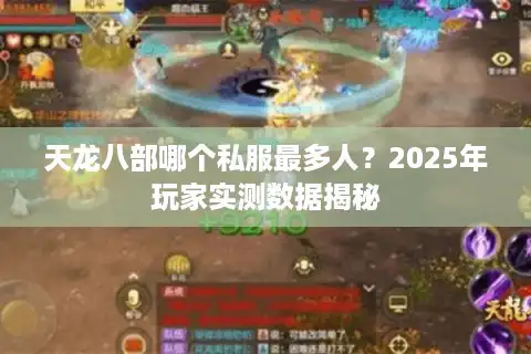 天龙八部哪个私服最多人？2025年玩家实测数据揭秘