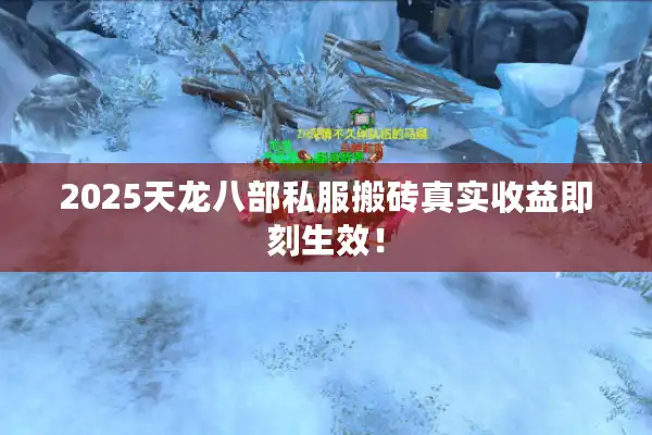 2025天龙八部私服搬砖真实收益即刻生效！