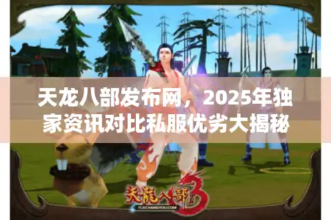 天龙八部发布网，2025年独家资讯对比私服优劣大揭秘
