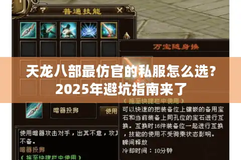 天龙八部最仿官的私服怎么选？2025年避坑指南来了