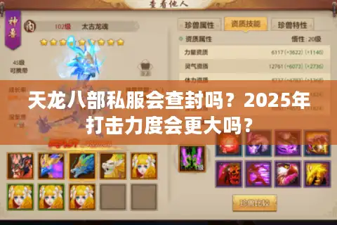 天龙八部私服会查封吗？2025年打击力度会更大吗？