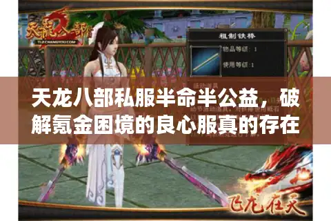 天龙八部私服半命半公益，破解氪金困境的良心服真的存在吗？
