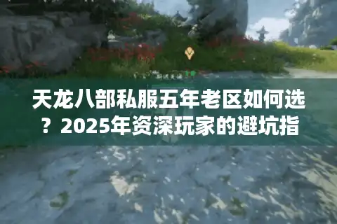 天龙八部私服五年老区如何选？2025年资深玩家的避坑指南