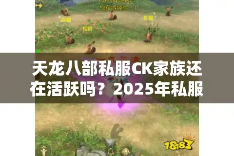 天龙八部私服CK家族还在活跃吗？2025年私服玩家必看的生存指南