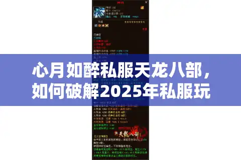 心月如醉私服天龙八部，如何破解2025年私服玩家最揪心的三大困局？