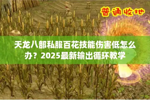 天龙八部私服百花技能伤害低怎么办？2025最新输出循环教学