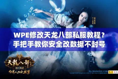 WPE修改天龙八部私服教程？手把手教你安全改数据不封号
