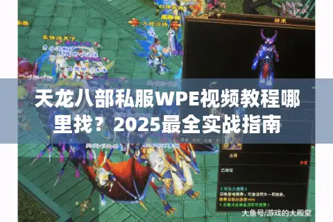 天龙八部私服WPE视频教程哪里找？2025最全实战指南
