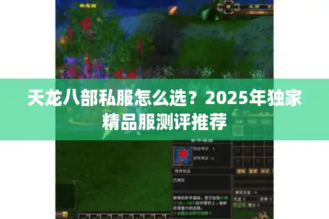 天龙八部私服怎么选？2025年独家精品服测评推荐