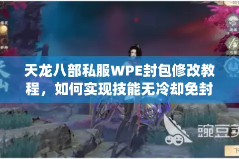 天龙八部私服WPE封包修改教程，如何实现技能无冷却免封号？