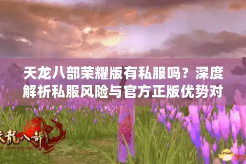 天龙八部荣耀版有私服吗？深度解析私服风险与官方正版优势对比