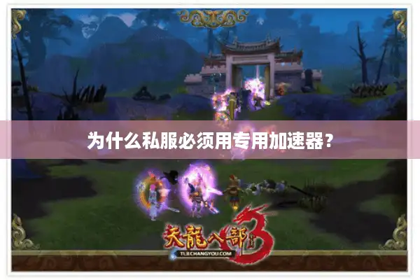为什么私服必须用专用加速器？