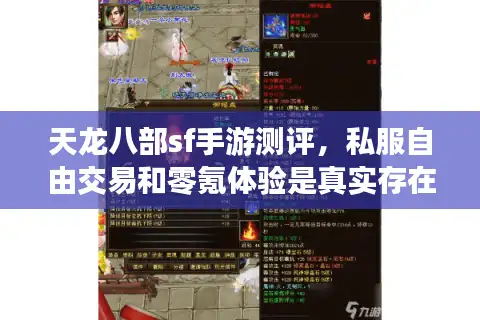 天龙八部sf手游测评，私服自由交易和零氪体验是真实存在还是套路？