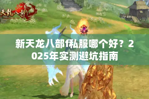 新天龙八部f私服哪个好？2025年实测避坑指南