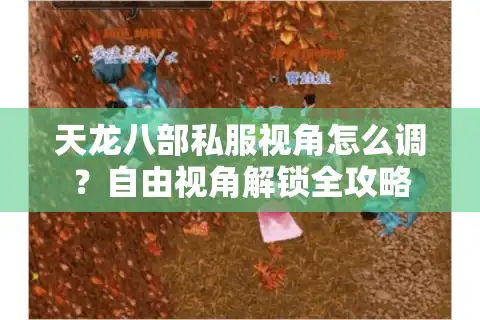 天龙八部私服视角怎么调？自由视角解锁全攻略