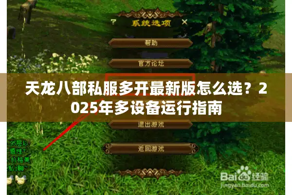 天龙八部私服多开最新版怎么选？2025年多设备运行指南