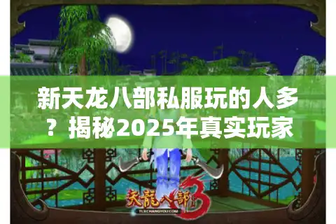 新天龙八部私服玩的人多？揭秘2025年真实玩家生态