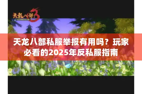 天龙八部私服举报有用吗？玩家必看的2025年反私服指南
