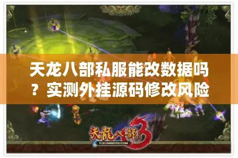 天龙八部私服能改数据吗？实测外挂源码修改风险大揭秘