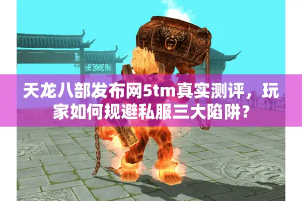 天龙八部发布网5tm真实测评，玩家如何规避私服三大陷阱？
