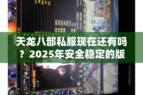 天龙八部私服现在还有吗？2025年安全稳定的版本怎么找？