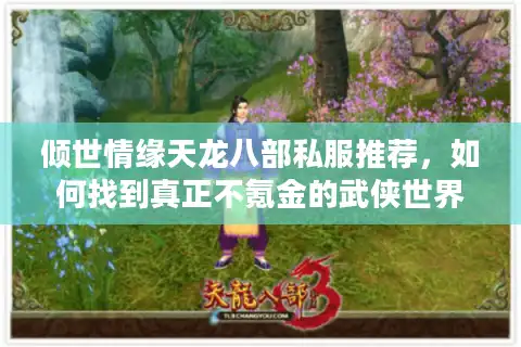 倾世情缘天龙八部私服推荐，如何找到真正不氪金的武侠世界？