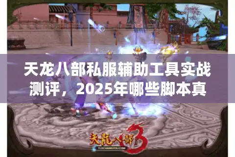 天龙八部私服辅助工具实战测评，2025年哪些脚本真正防封又省时？