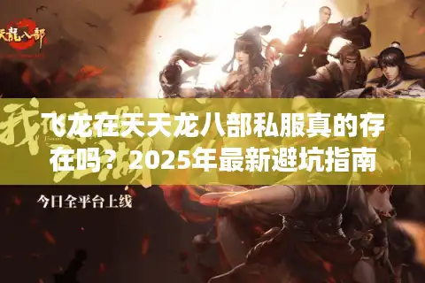 飞龙在天天龙八部私服真的存在吗？2025年最新避坑指南