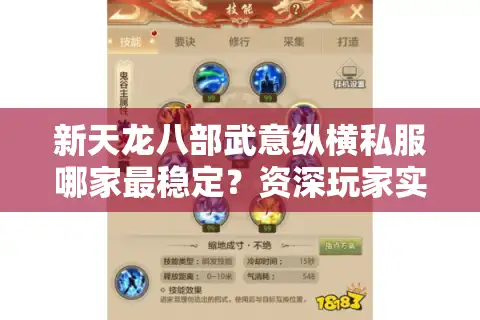 新天龙八部武意纵横私服哪家最稳定？资深玩家实测避坑指南