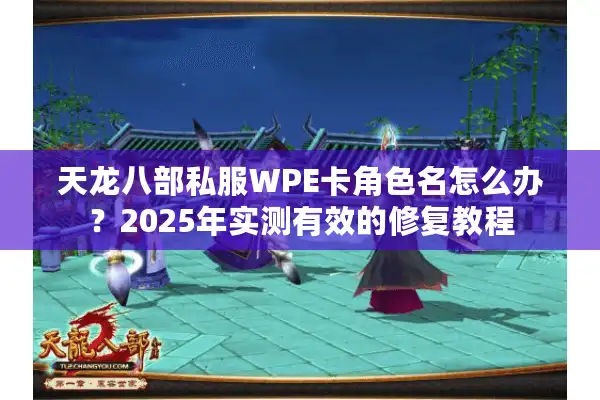 天龙八部私服WPE卡角色名怎么办？2025年实测有效的修复教程