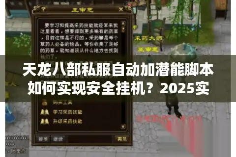 天龙八部私服自动加潜能脚本如何实现安全挂机？2025实测教程