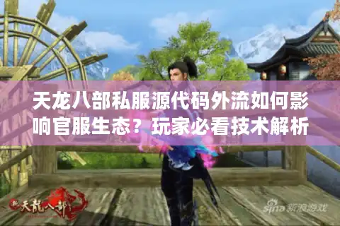 天龙八部私服源代码外流如何影响官服生态？玩家必看技术解析