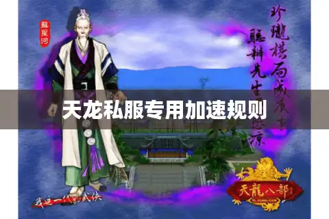 天龙私服专用加速规则