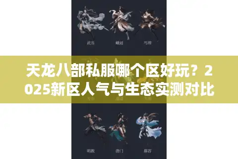 天龙八部私服哪个区好玩？2025新区人气与生态实测对比
