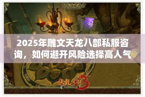 2025年雕文天龙八部私服咨询，如何避开风险选择高人气版本？