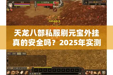 天龙八部私服刷元宝外挂真的安全吗？2025年实测避坑指南