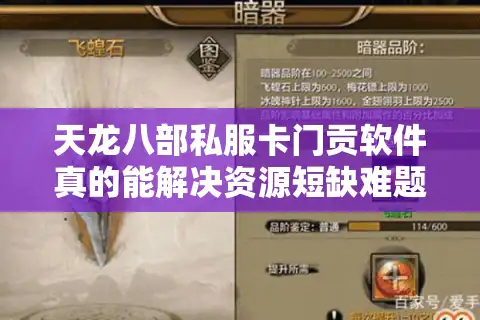 天龙八部私服卡门贡软件真的能解决资源短缺难题？实测数据揭秘