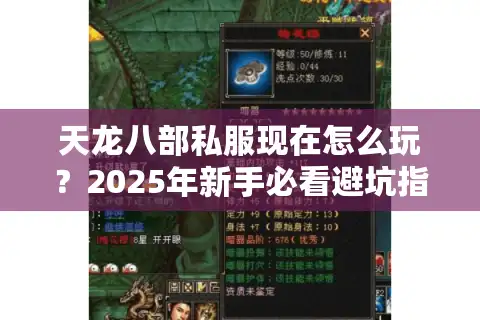 天龙八部私服现在怎么玩？2025年新手必看避坑指南