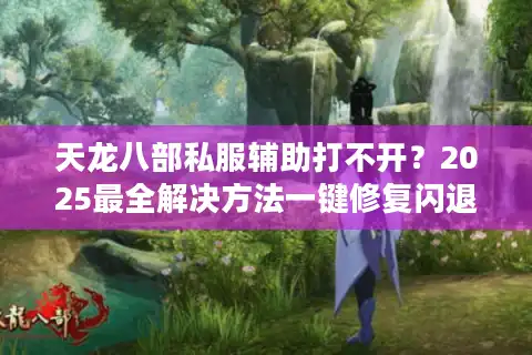天龙八部私服辅助打不开？2025最全解决方法一键修复闪退问题