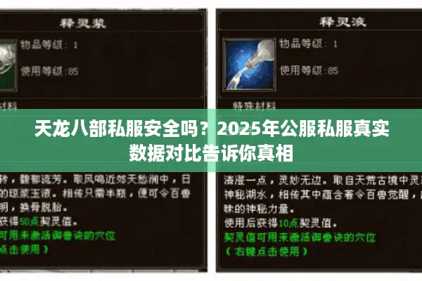 天龙八部私服安全吗？2025年公服私服真实数据对比告诉你真相