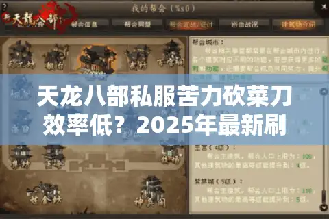 天龙八部私服苦力砍菜刀效率低？2025年最新刷资源攻略