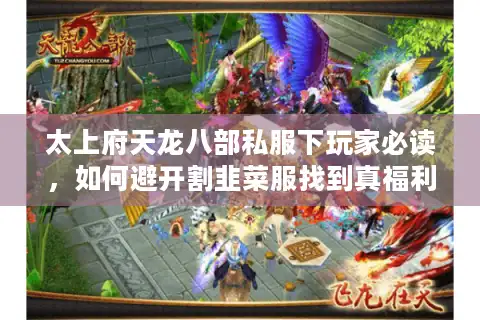 太上府天龙八部私服下玩家必读，如何避开割韭菜服找到真福利？