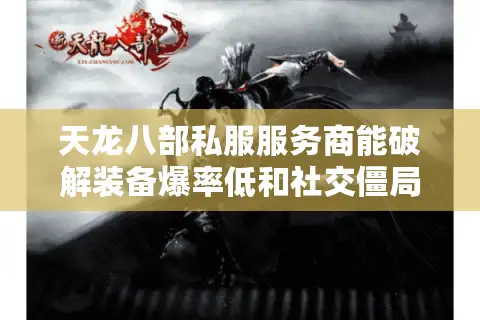 天龙八部私服服务商能破解装备爆率低和社交僵局吗？2025年实测数据解析